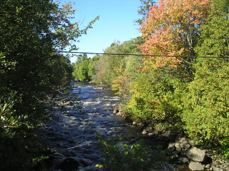 Rivière Saint Charles