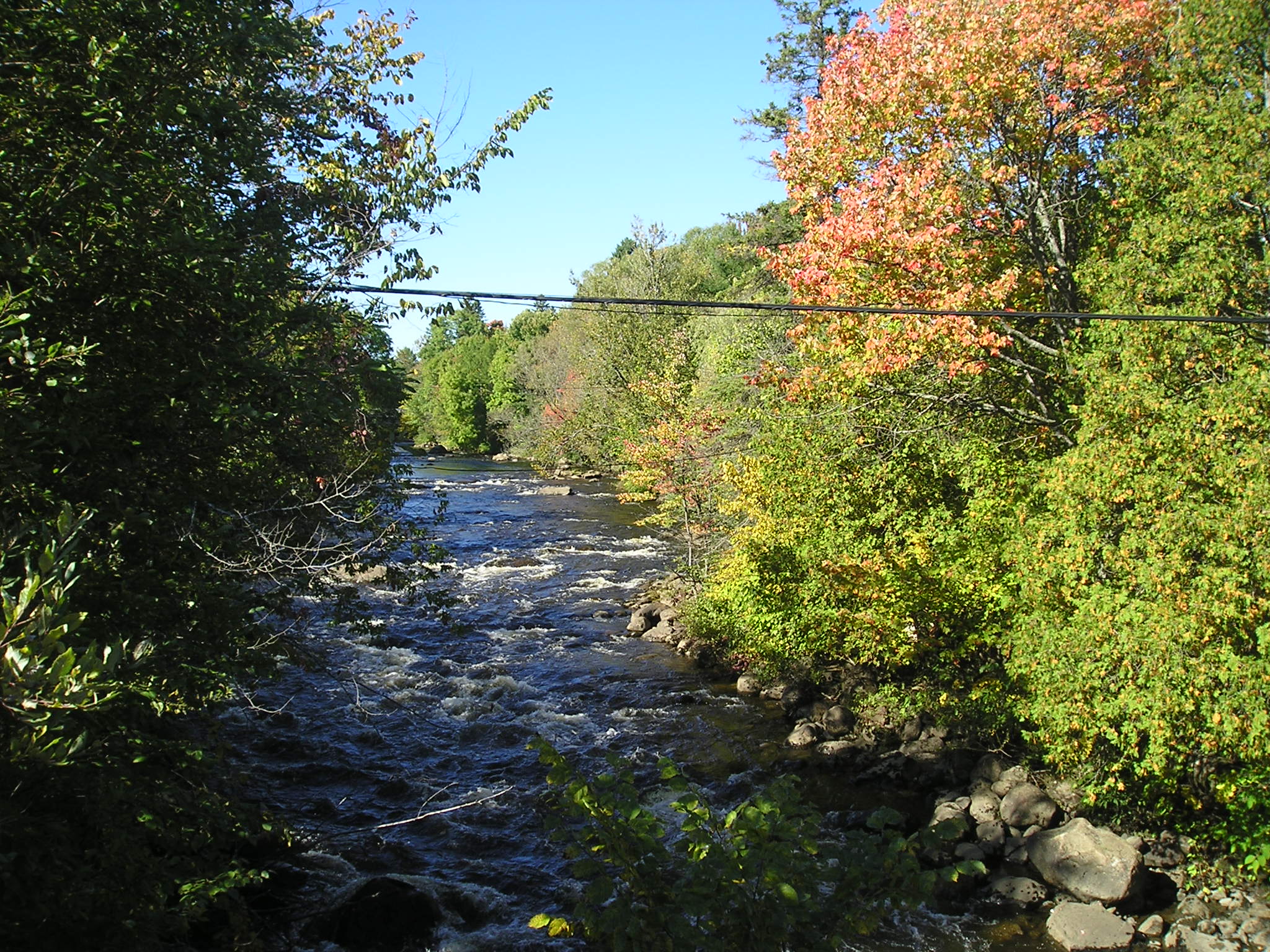 Cyclists along the St. Lawrence River